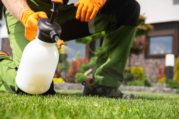 Best Wildlife Control Services  in Springfield, TN
