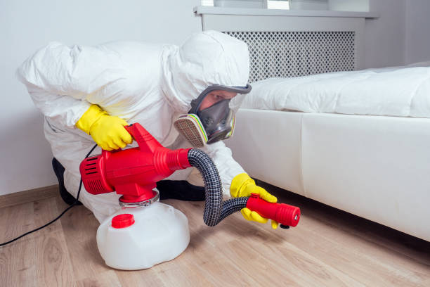 Trusted Springfield, TN Pest Control Experts