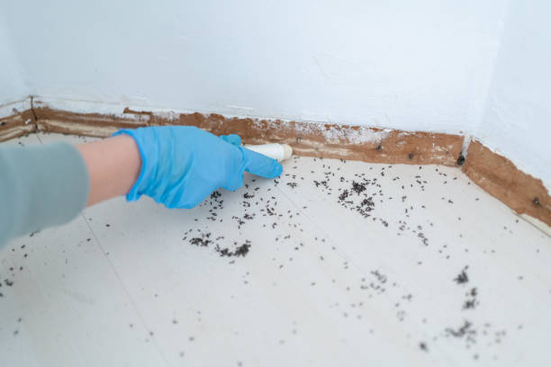 Best Residential Pest Control  in Springfield, TN