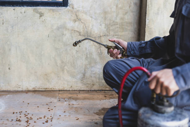Best Exterminator Services  in Springfield, TN